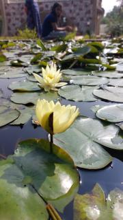 Serenity - Kharakvasla - 8