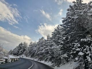 Studio Poiana Brasov - 7