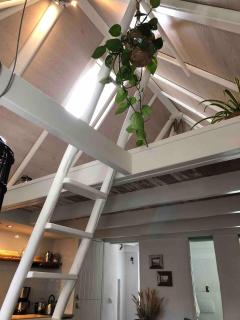 Het Logement in Zierikzee - Zierikzee - 7