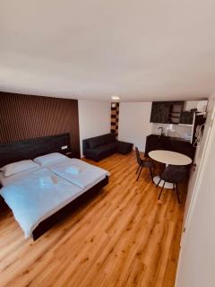 Resort PJagodic - Šenturska Gora - 1