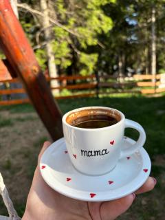 Holiday home ,,Lazar'' - Žabljak - 4