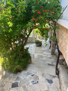 Apartments Splitska Dream - 7