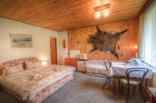 Penzion Ivana - Harrachov - 9