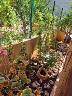 La casa dei pesci dipinti - Castelluzzo - 8