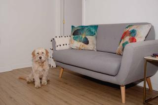 Cosy House In Barnard Castle - Barnard Castle - 5