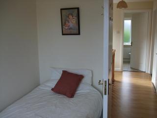 3 bedroom house with free parking and rear garden - Wexford - 2