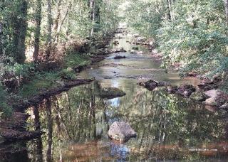 Camping Paradis Nature - Ivoy-le-Pré - 0