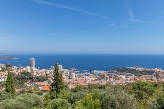 Le Mas d'Angeline - Vue mer jardin commun parking voiture obligatoire 10min voiture Monaco route étroite pente raide croisement limité voir photos - Sea view shared garden parking car mandatory 10min car Monaco narrow steep road limited passing see photos - Beausoleil - 0