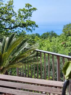 Maratea nel verde - Maratea - 9