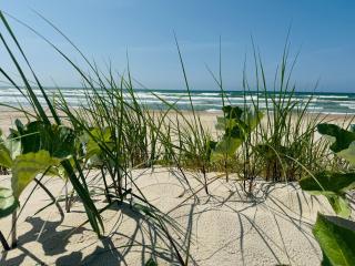 Elija Sea View Relax Apartment - Palanga - 5