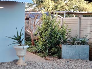 Aloe Haven - 3