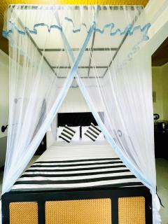 Royal Mount Ella - 3