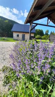 Pod Górką - Lądek-Zdrój - 6