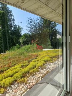 Botanical Apartment - Konstancin-Jeziorna - 4
