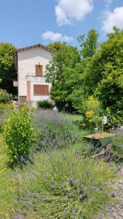 Stella Polare B&B - Rieti - 4