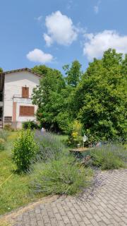 Stella Polare B&B - Rieti - 6