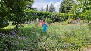 Stella Polare B&B - Rieti - 7