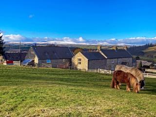 The Old Mill - 28218 - Thropton - 0