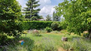 Stella Polare B&B - 6