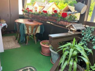 Appartement duplex - Wingen - 3