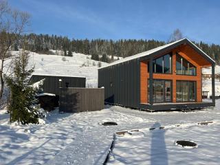 pro100 house - 8