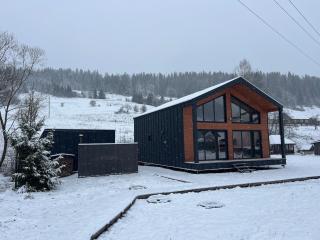 pro100 house - 7
