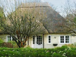 Monks Thatch - Otterton - 0