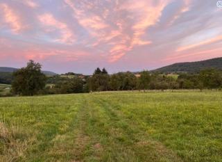 Appartement duplex - Wingen - 1