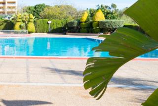 Confortable apartment in Paraíso Building, Benidorm - Benidorm - 8