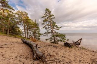Villa Marika Holiday Centre - Alajõe - 4