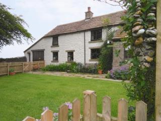 Oxlow End Cottage - Peak Forest - 0