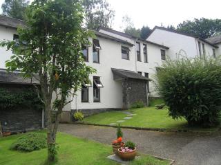 Badger Cottage - Ambleside - 0