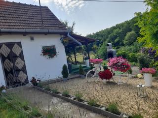 Casa Teonia - Tăşnad - 7