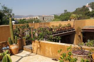 Dream Garden Villa in the Heart of Oaxaca - Città di Oaxaca - 8