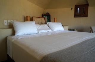Dream Garden Villa in the Heart of Oaxaca - 7