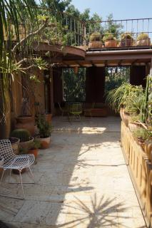 Dream Garden Villa in the Heart of Oaxaca - Città di Oaxaca - 3