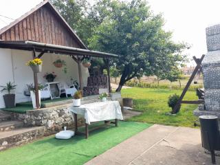 Casa Teonia - Tăşnad - 4