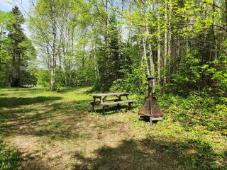 Terrain de camping - Saint-Philémon - 0