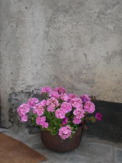 Villard Guesthouse - Oulx - 5