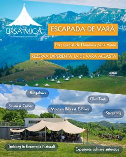 Ursa Mica Glamping Resort - Şirnea - 0