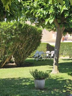 Studio à Mandelieu - Les Mimosas - Mandelieu La Napoule - 6