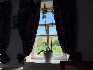 Kochmon guesthouse - 2