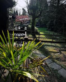 Secluded Lodge Escape in Bradworthy North Devon - Holsworthy - 6