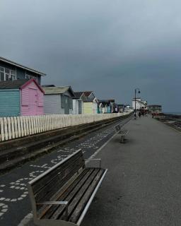 Secluded Lodge Escape in Bradworthy North Devon - Holsworthy - 4