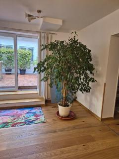 Ferienwohnung Jelen - Kolbermoor - 8