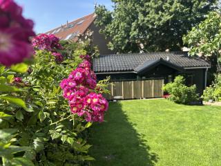 Stijlvol Tiny House aan de rand van Amsterdam - Badhoevedorp - 9