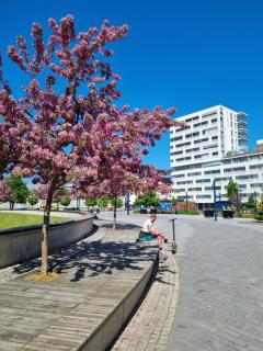 Penthouse in the Oulu center - Oulu - 9