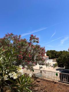 Vacation Home Palma - Rukavac - 9