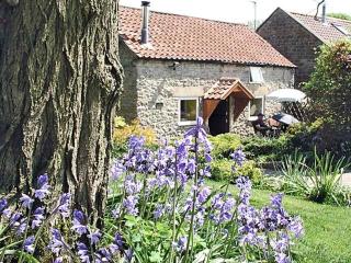 Old Barn Cottage - Lockton - 0