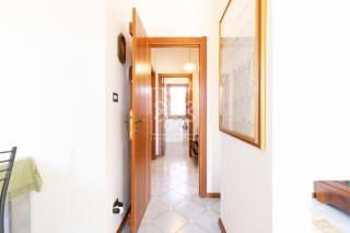 Turtle House - Stintino - 8
